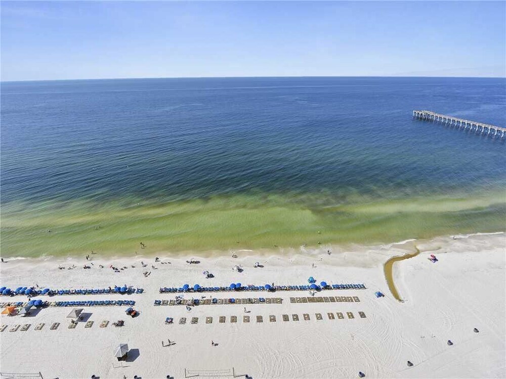 Calypso 1006 East Tower I Three Bedroom Condo - photo 30