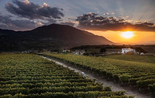 Giardino Delle Oche Ocone Taburno Wine County — 4-Star Luxury Hotel in Ponte, Italy