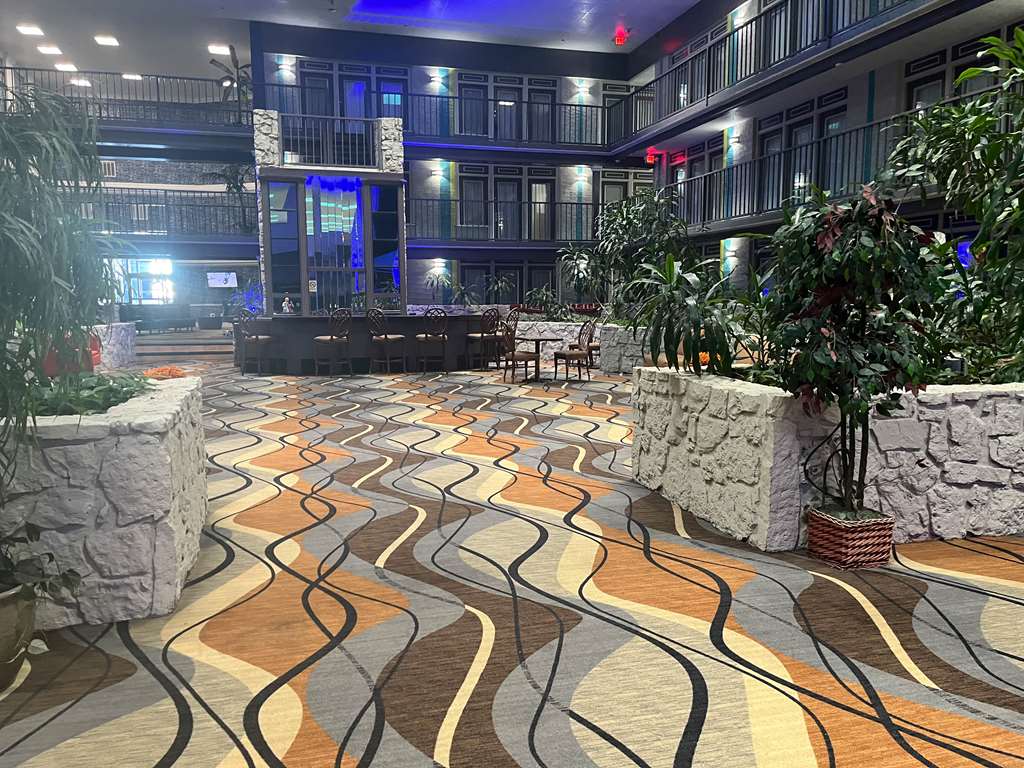 Fifth Season Suites - photo 8