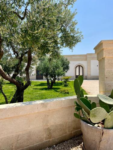 Casale Giuseppe — 4-Star Luxury Hotel in Fasano, Italy