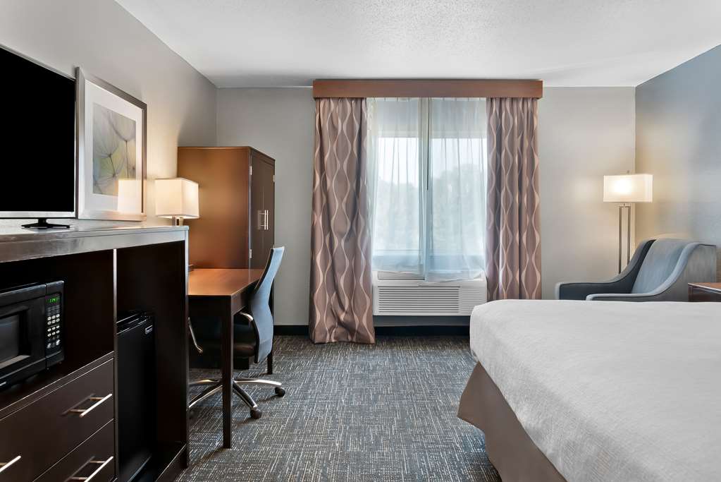 Best Western Plus Flint Airport Inn & Suites - photo 31