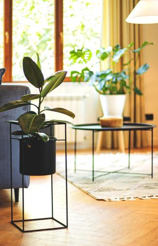 Cozy 1BR Apartment By Wehost