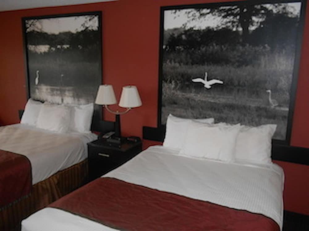 AmeriStay Inn - photo 11