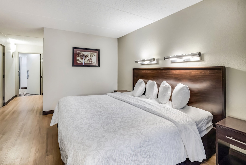 Red Roof Inn PLUS Boston Woburn Burlington - photo 20
