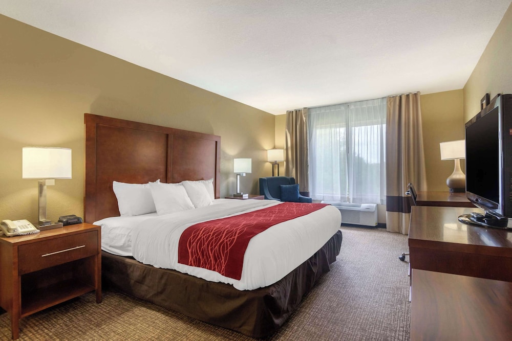 Comfort Inn & Suites Pittsburg KS - photo 15
