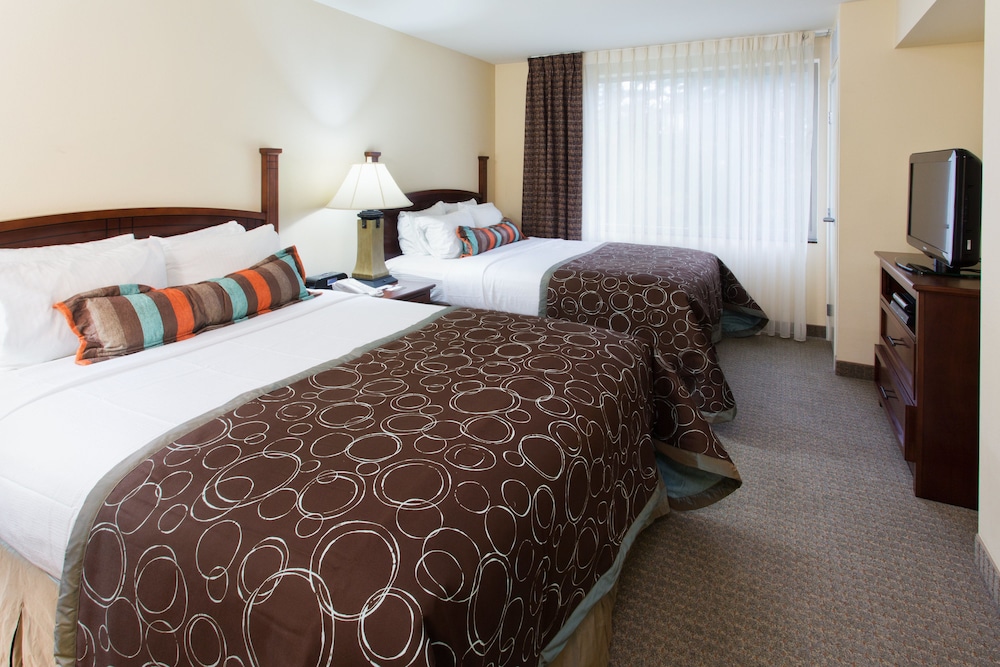 Staybridge Suites Everett Paine Field by IHG - photo 5