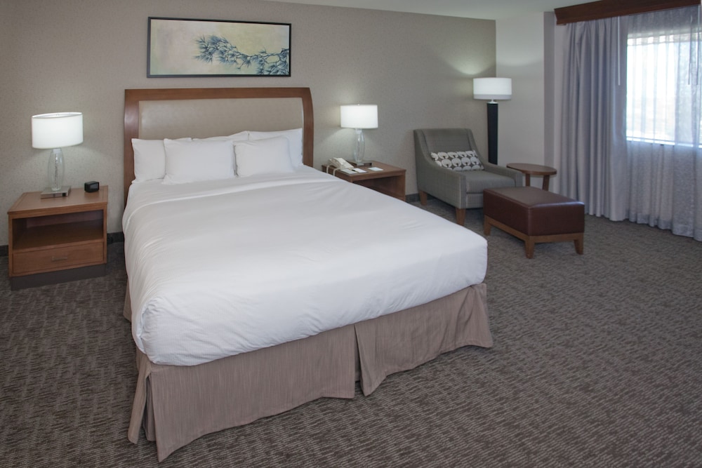 DoubleTree by Hilton Los Angeles Rosemead - photo 19
