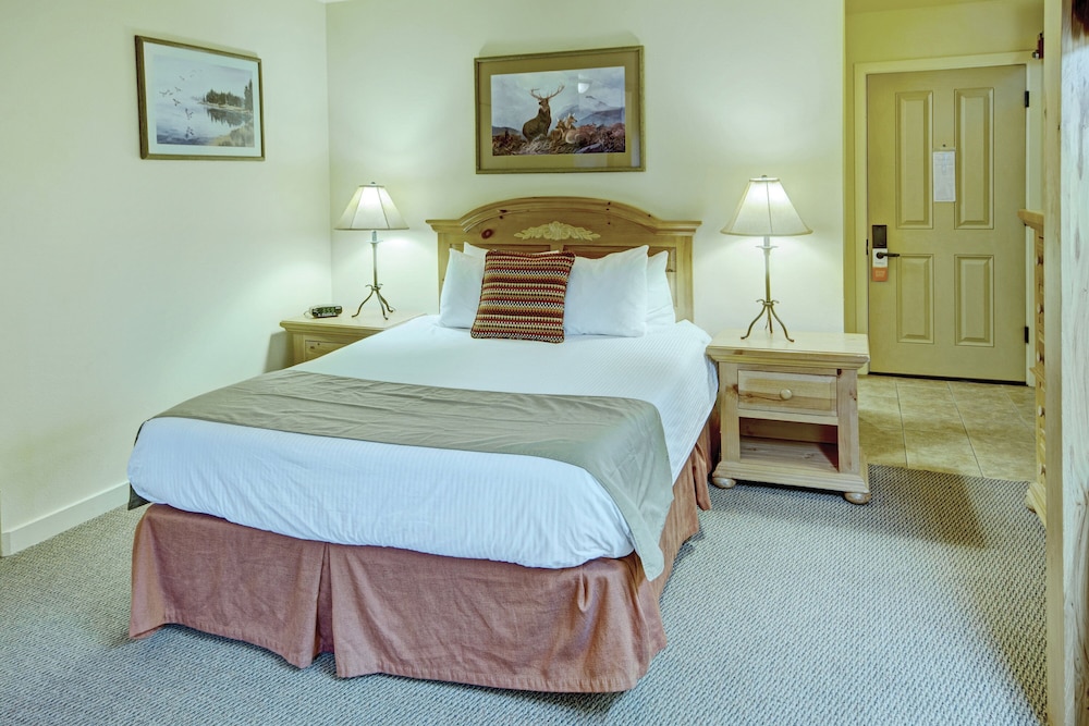 Seventh Mountain Resort - photo 13