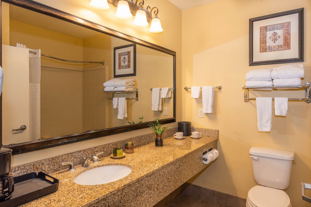 Natchez Grand Hotel & Suites On the River - photo 25