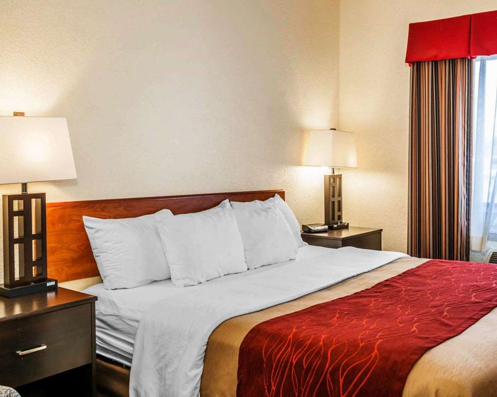 Comfort Inn Avon Indianapolis West in Avon, United States