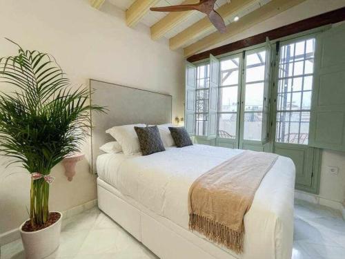 Juderia de Sevilla VI Luxury Apartments — 4-Star Luxury Hotel in Sevilla, Spain