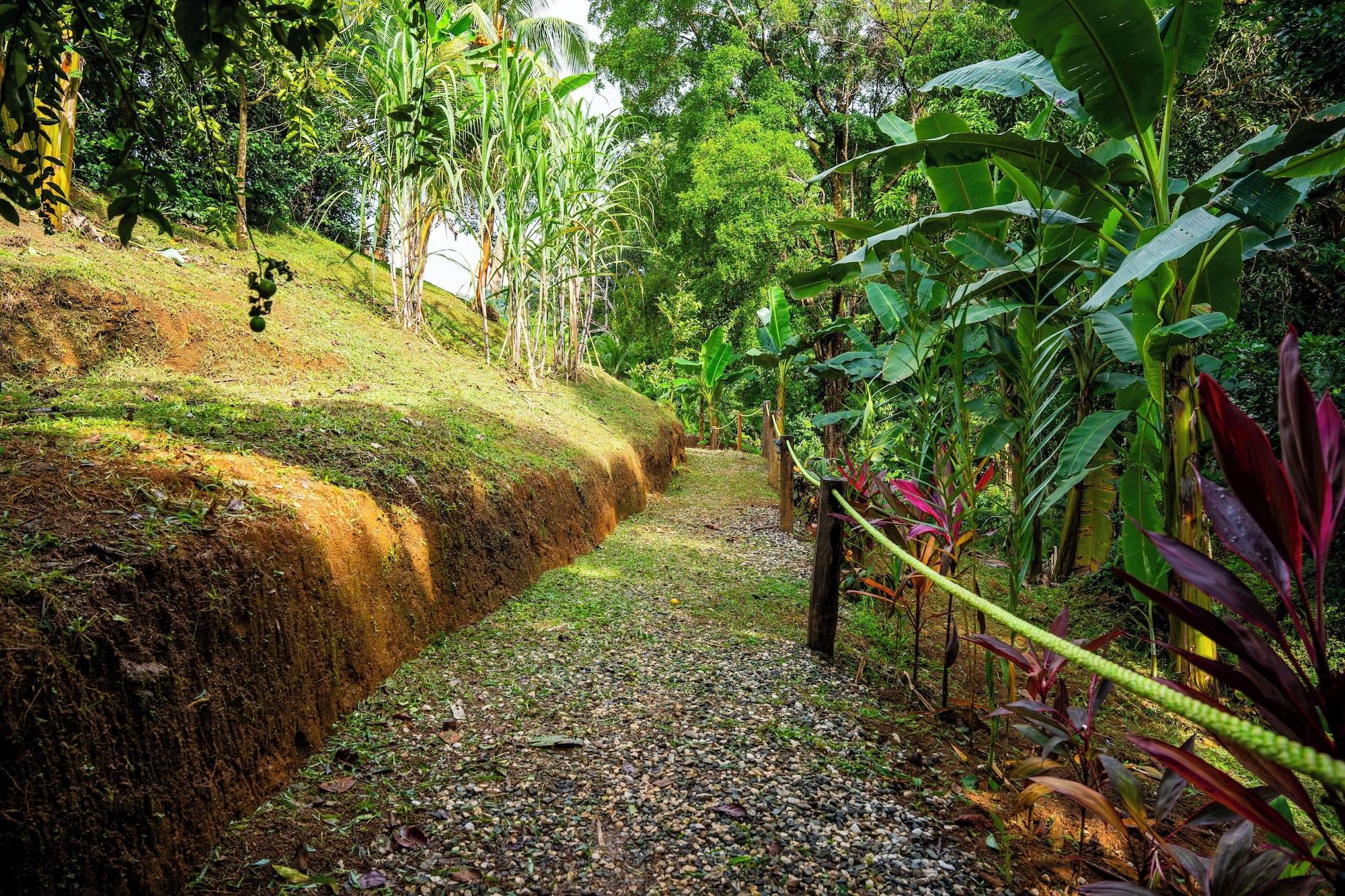 Cotingas Ocean View - carbon neutral hotel in Unknown City