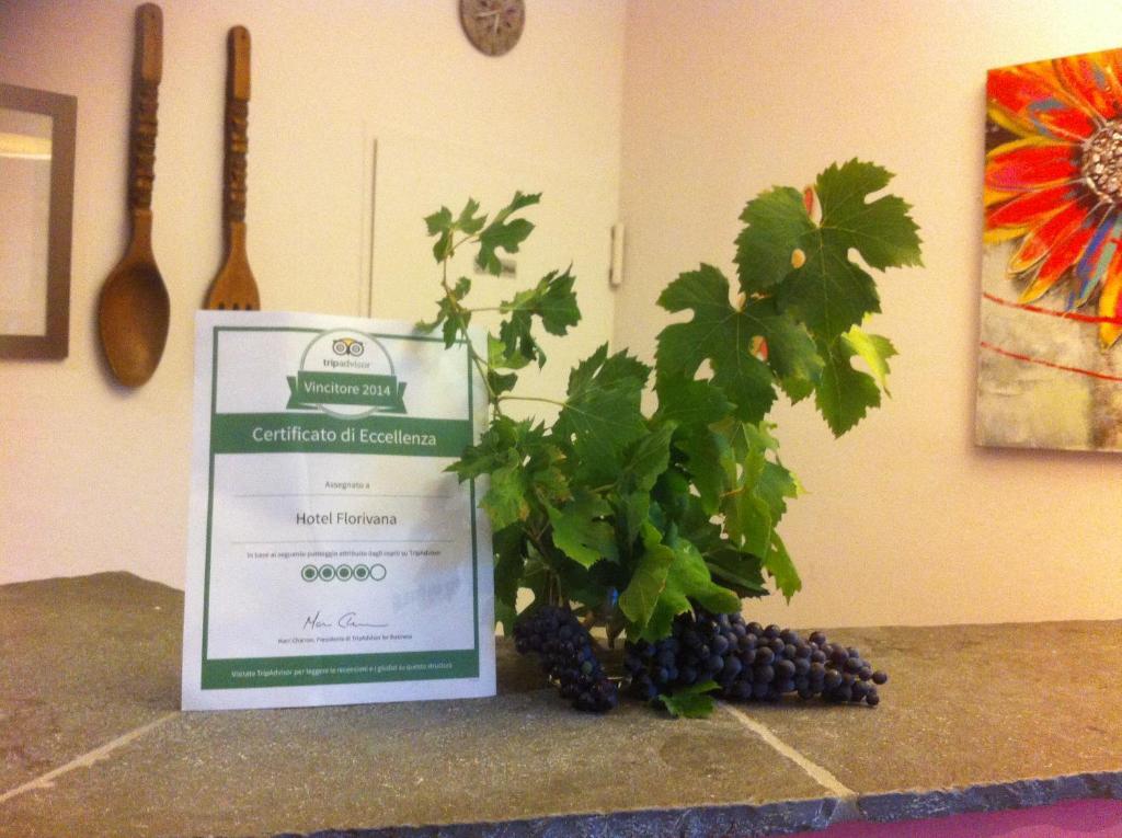 Florivana Boutique Hotel in San Pietro In Cariano, Italy