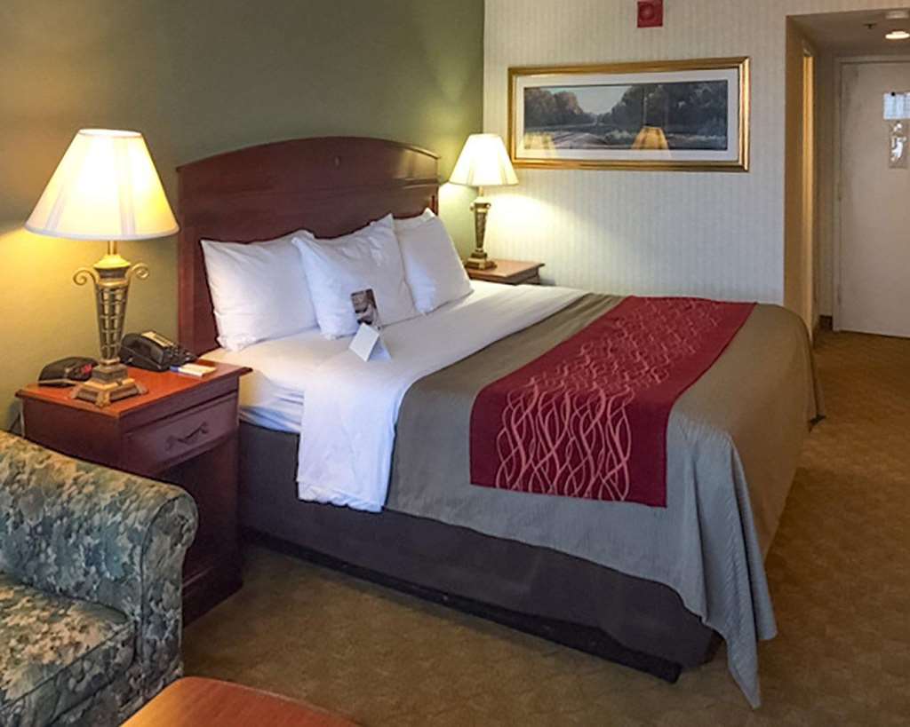 Comfort Inn Springfield - photo 5
