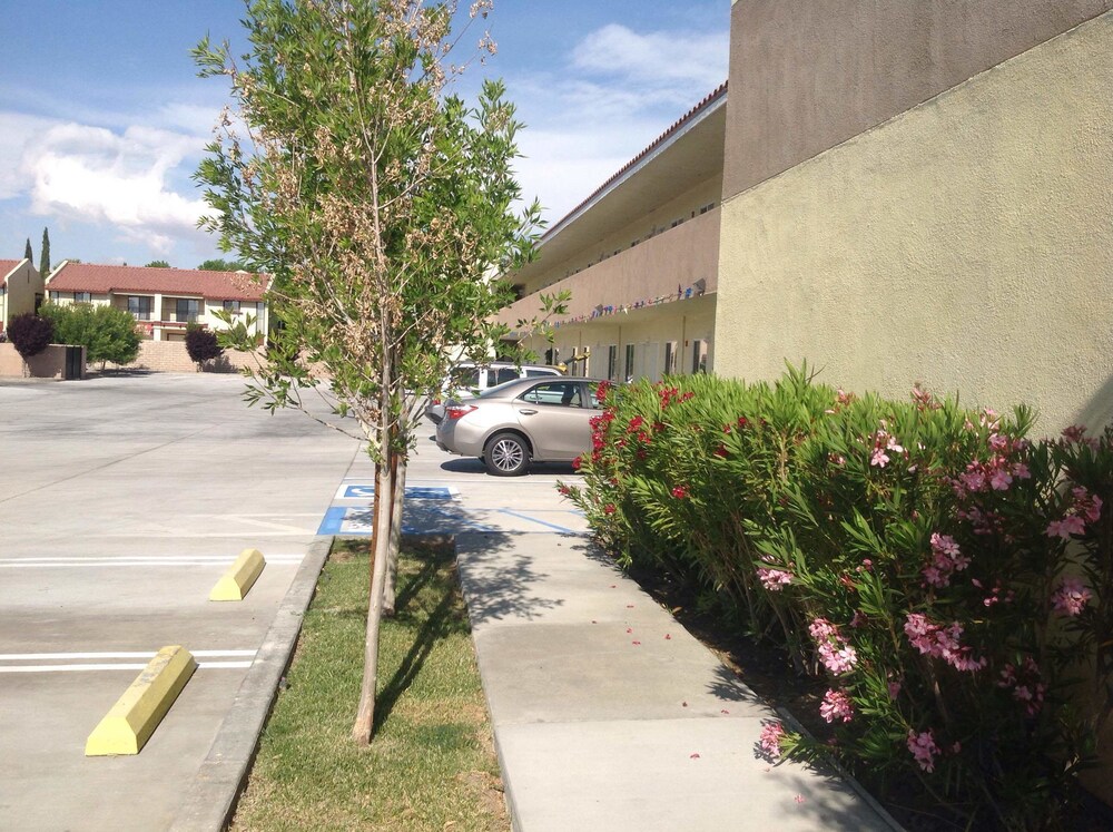 America Inn & Suites - photo 18