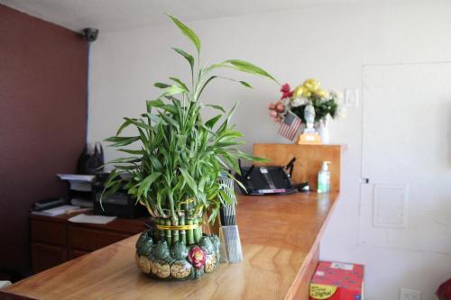 Flagstaff Motel - photo 3