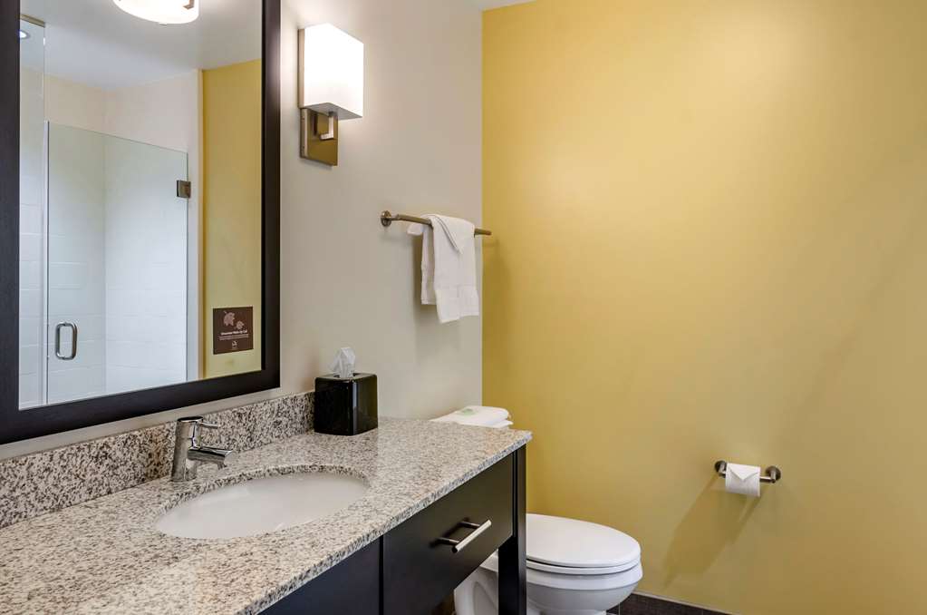 Sleep Inn Great Falls Airport - photo 21