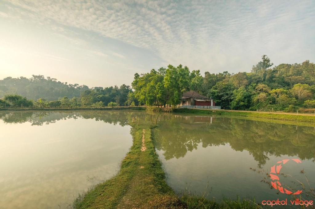 Capitol Village Resort in Madikeri, India