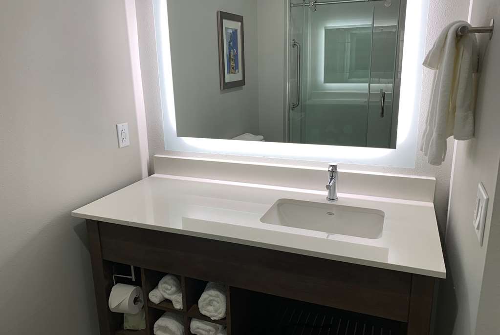 La Quinta Inn & Suites by Wyndham Round Rock near Kalahari - photo 18