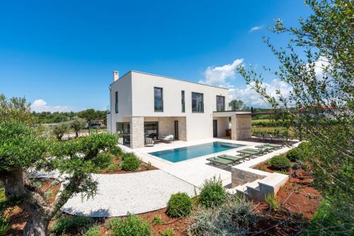 Lazy Olive in Vrsar, Croatia