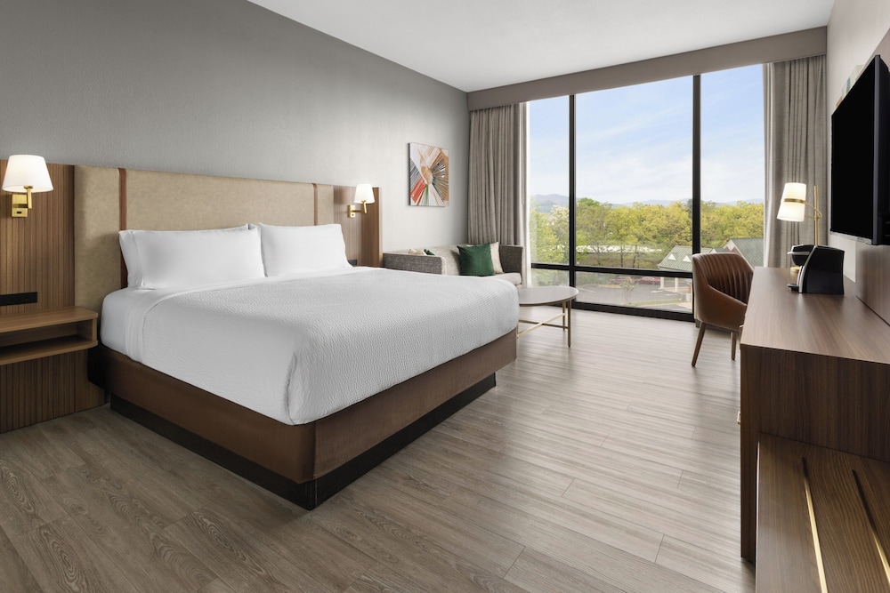 Holiday Inn Roanoke Tanglewood Rt 419&i581 by IHG - photo 13