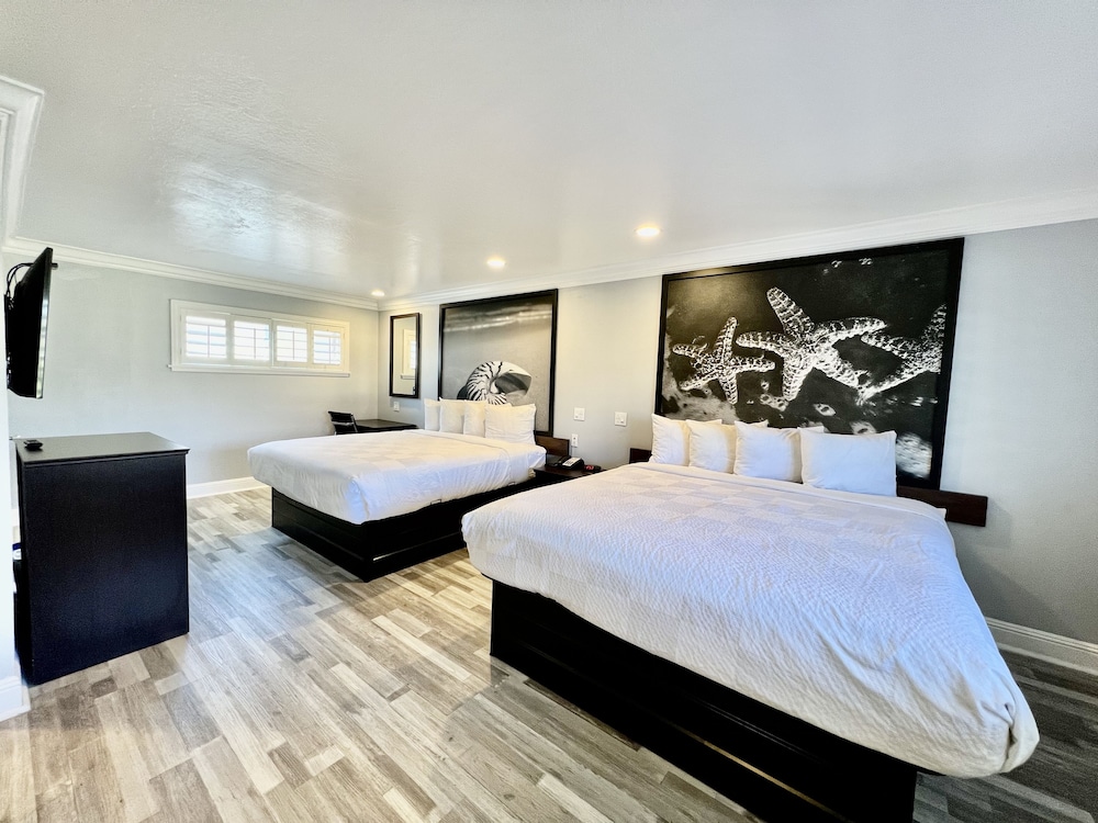 Aura Inn Monterey - photo 49