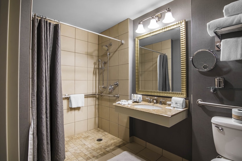 Renaissance Dallas North Hotel - photo 29