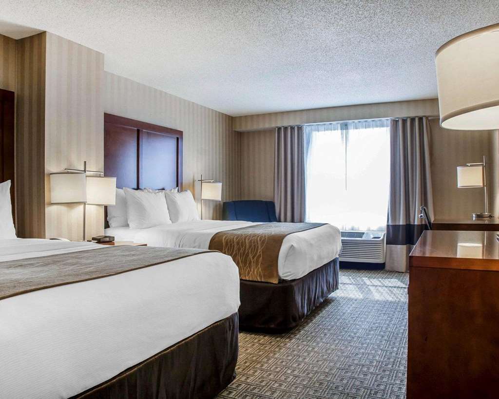 Comfort Inn & Suites Sturbridge Brimfield - photo 14