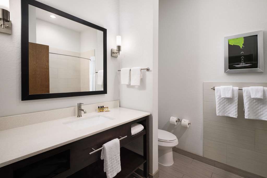 Best Western Plus College Station Inn & Suites - photo 28