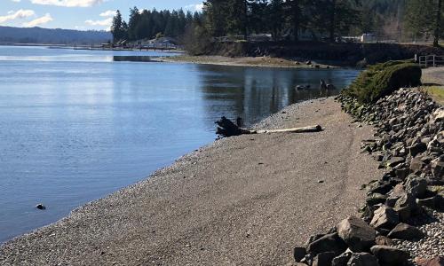 The Waterfront at Potlatch - photo 13