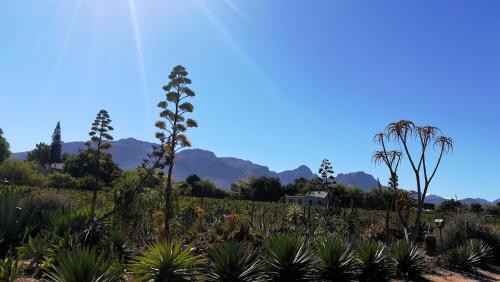 De Oude Schuur — 4-Star Luxury Hotel in Stellenbosch, South Africa