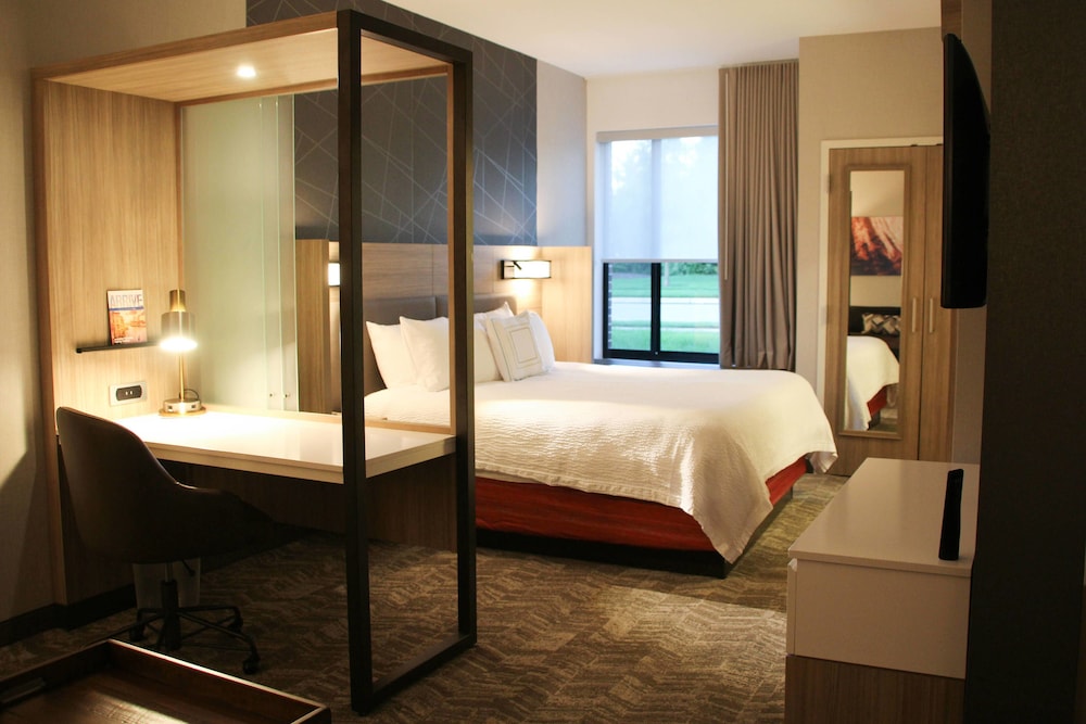 SpringHill Suites Baltimore White Marsh Middle River - photo 4