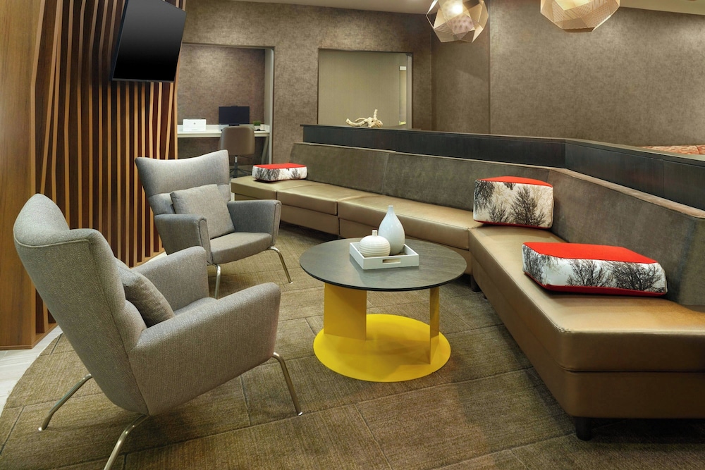 Springhill Suites By Marriott Atlanta Six Flags - photo 3