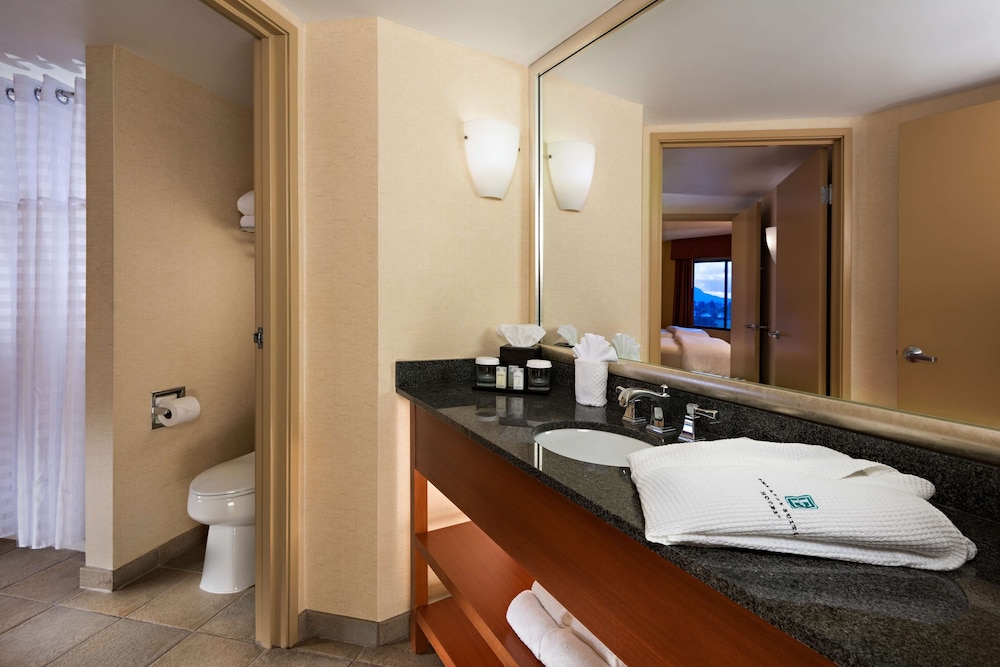 Embassy Suites by Hilton Phoenix Scottsdale - photo 30