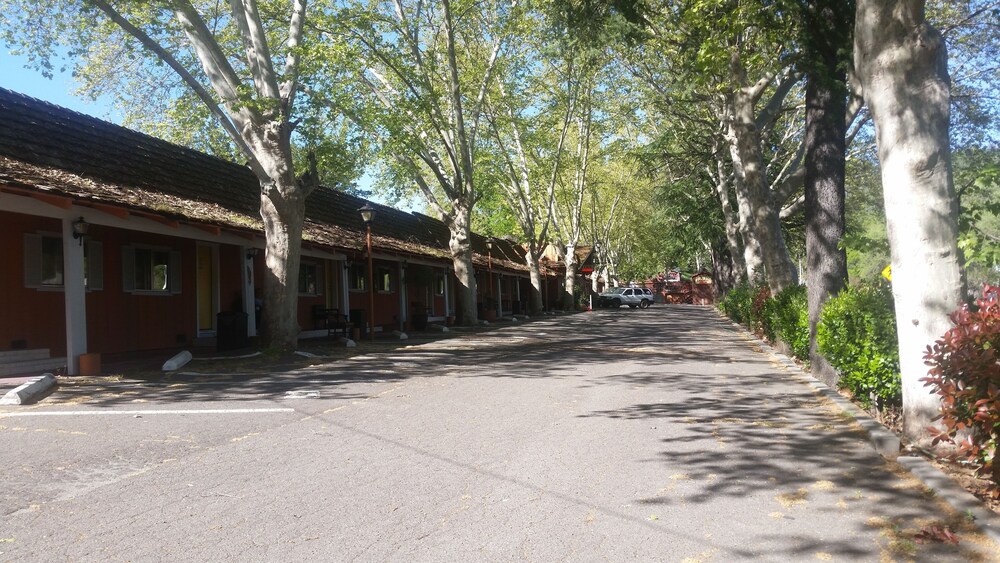 Sonora Gold Lodge - photo 21