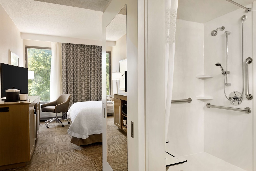 Hampton Inn Atlanta Buckhead - photo 6