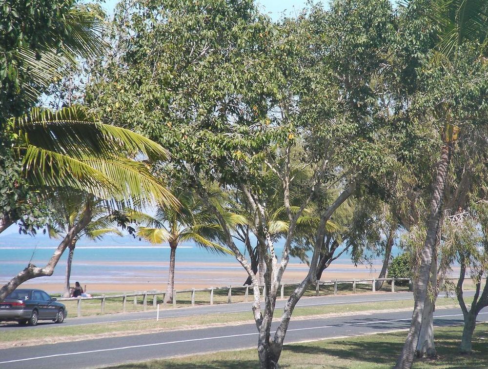 Beachside Bed & Breakfast — Mackay — photo 5