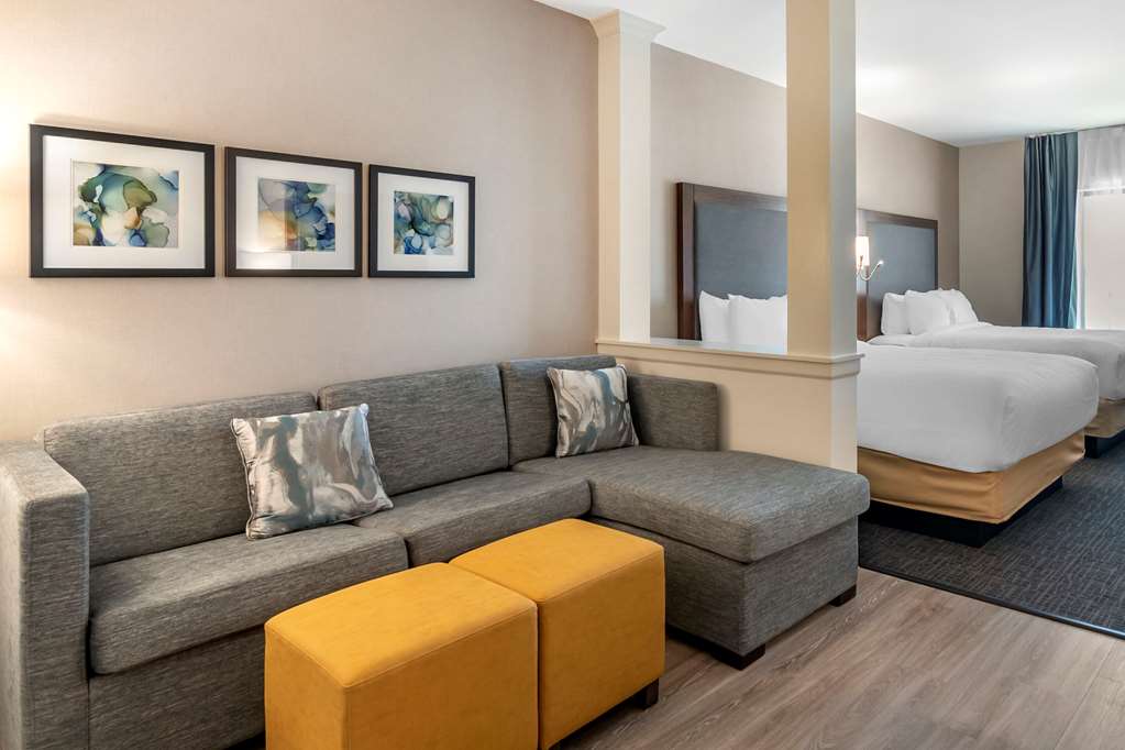 Comfort Suites Grandview Kansas City - photo 13