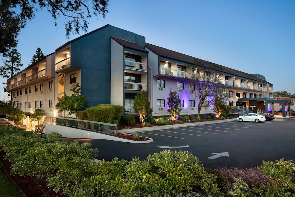 The Domain Hotel - photo 46