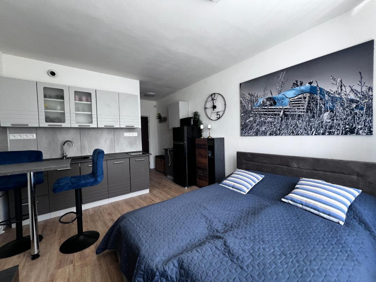 Blue Apartman Garsonka in Zilina, Slovakia