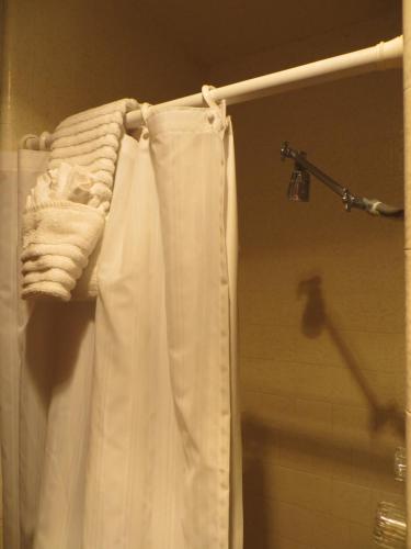 Alamo Inn - photo 22