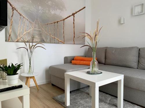 Tiny Haus Liederbach — Alsfeld — photo 5