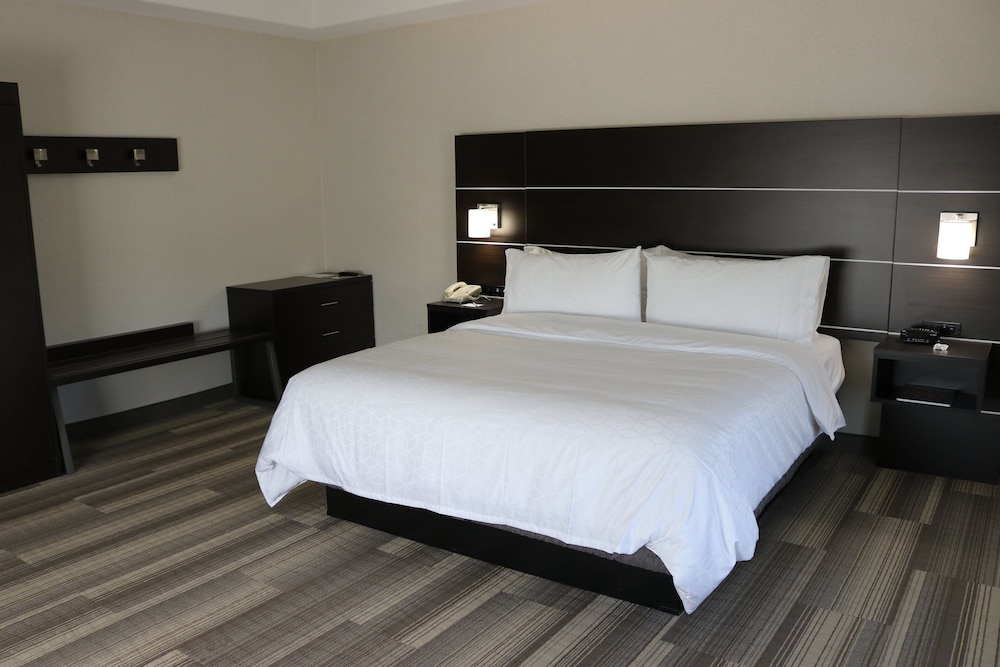Holiday Inn Express Hotel & Suites El Dorado Hills - photo 9