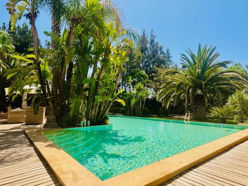 Dar Harmattan - last minute hotel in Essaouira