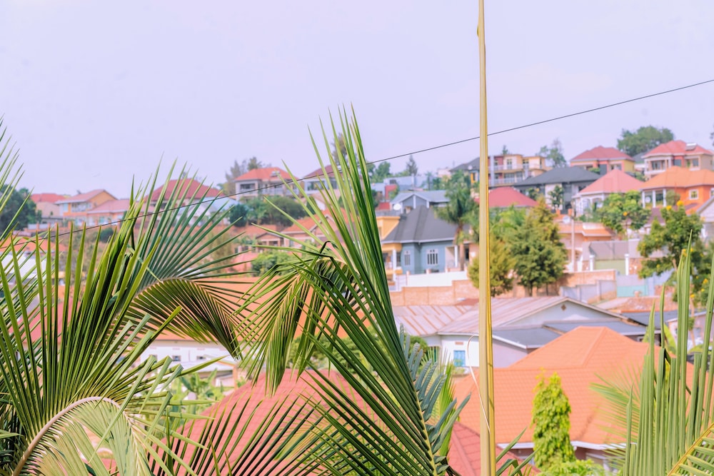 Kigali Peace Villa — Kigali — photo 3