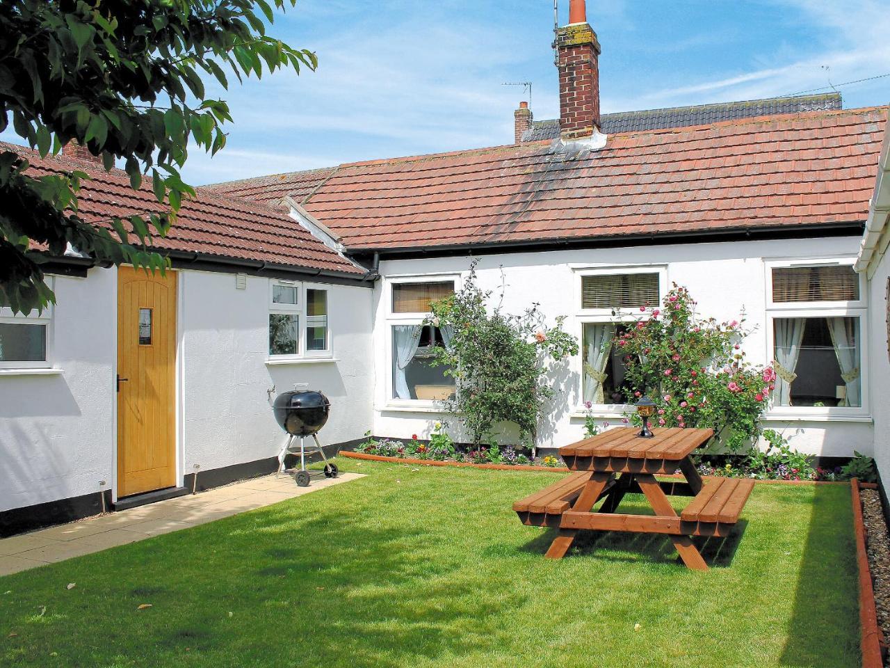 Little Tern in Great Yarmouth, United Kingdom