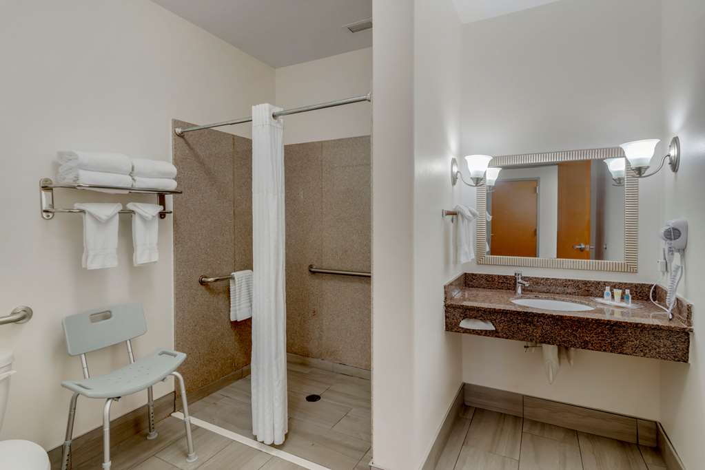 Comfort Suites Stockbridge Atlanta South - photo 10