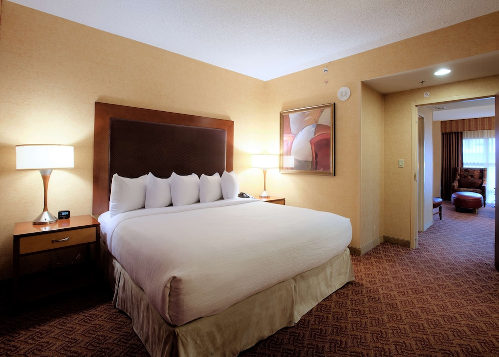 Embassy Suites by Hilton Charlotte Concord Golf Resort & Spa - photo 25