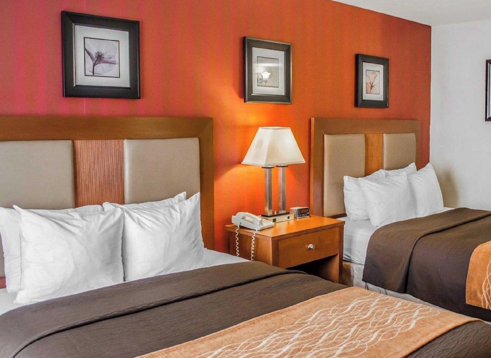 Hotel Hanna - photo 7