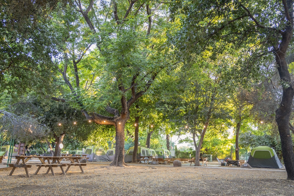 Camping Dafna By Travel Hotel Chain in Qiryat Shemona, Israel